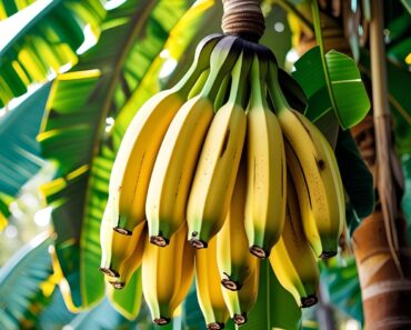7 Powerful Health Benefits of Bananas – You’ll Never Skip This Superfruit Again!