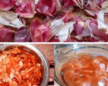The Hidden Health Benefits of Garlic and Onion Peels: Why You Should Never Throw Them Away
