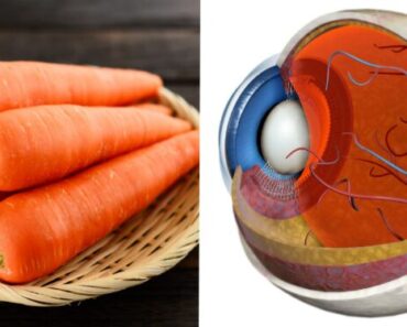 When You Eat Carrots Every Day for a Week, You’ll Notice These 9 Big Changes